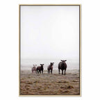 Morning Cows Farm Canvas Print