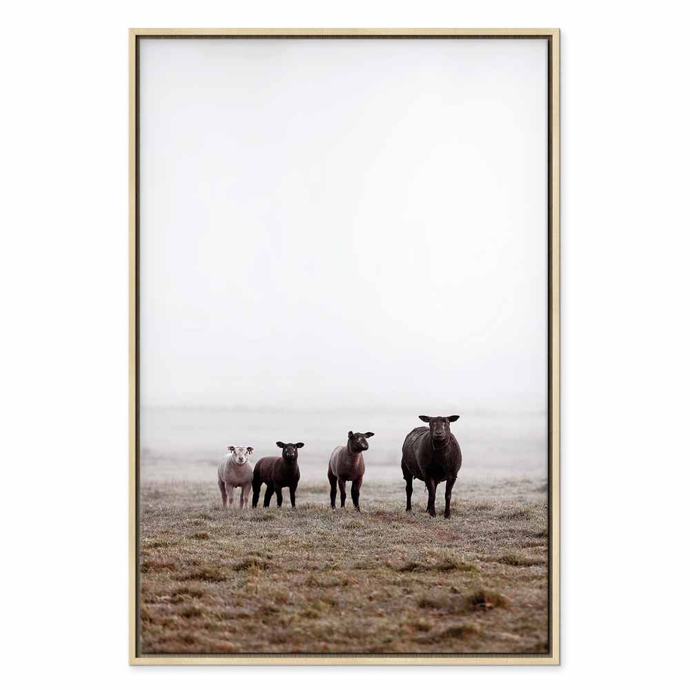 Morning Cows Farm Canvas Print