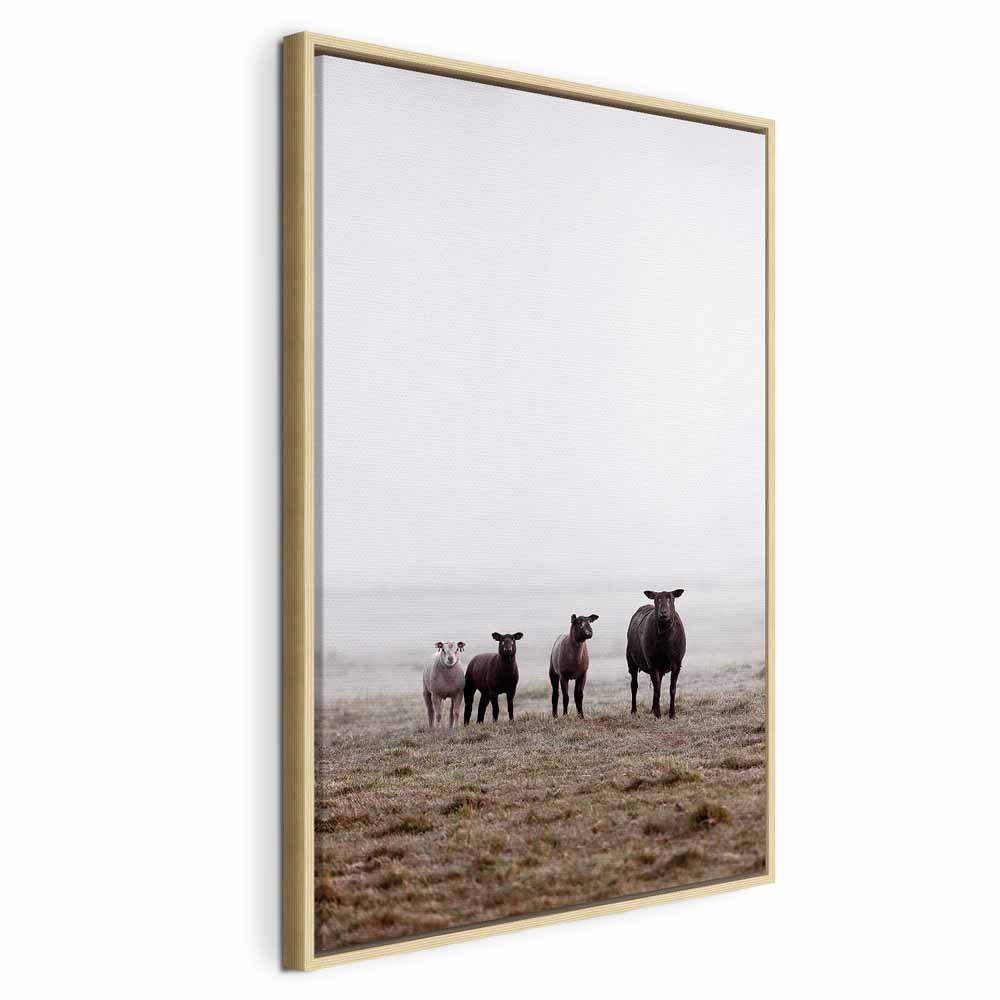 Morning Cows Farm Canvas Print