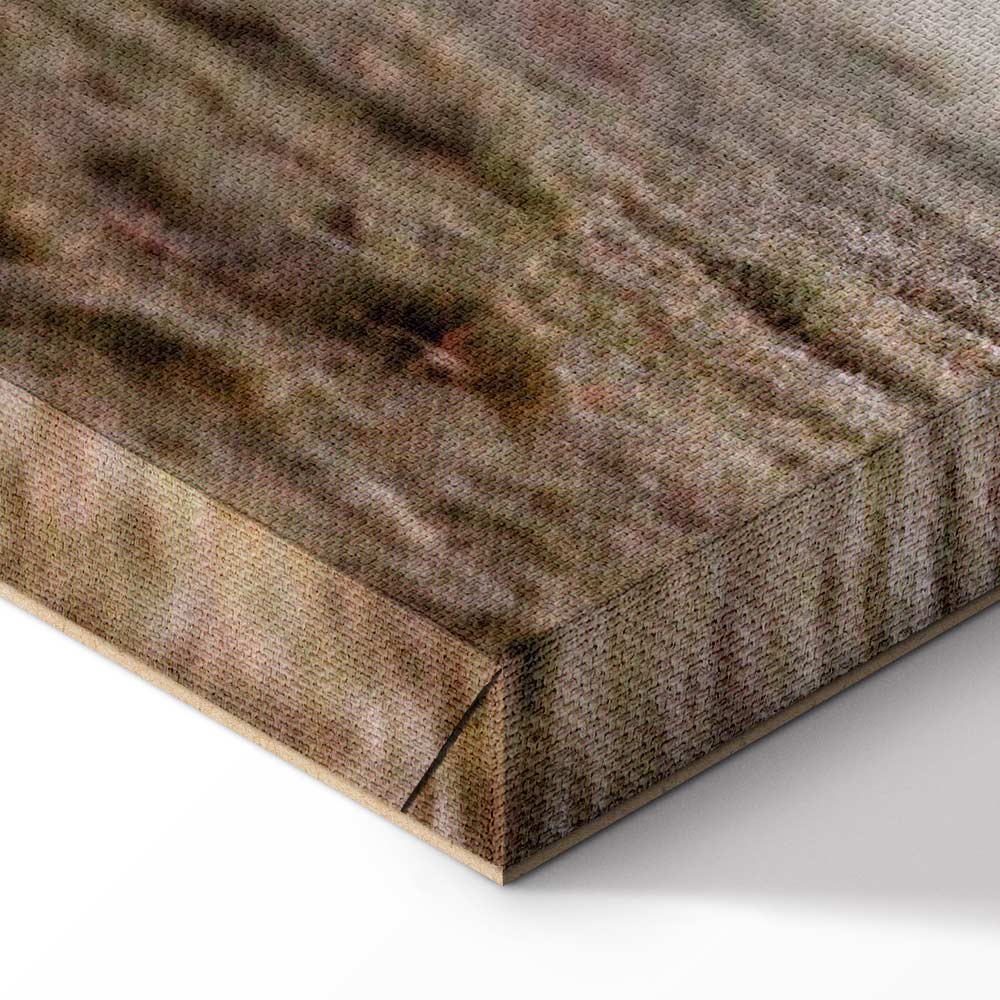 Morning Cows Farm Canvas Print