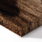 Horse Morning Memories Vertical Canvas Print