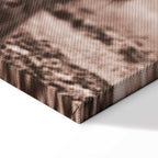 Scottish Cow Sepia Canvas Print