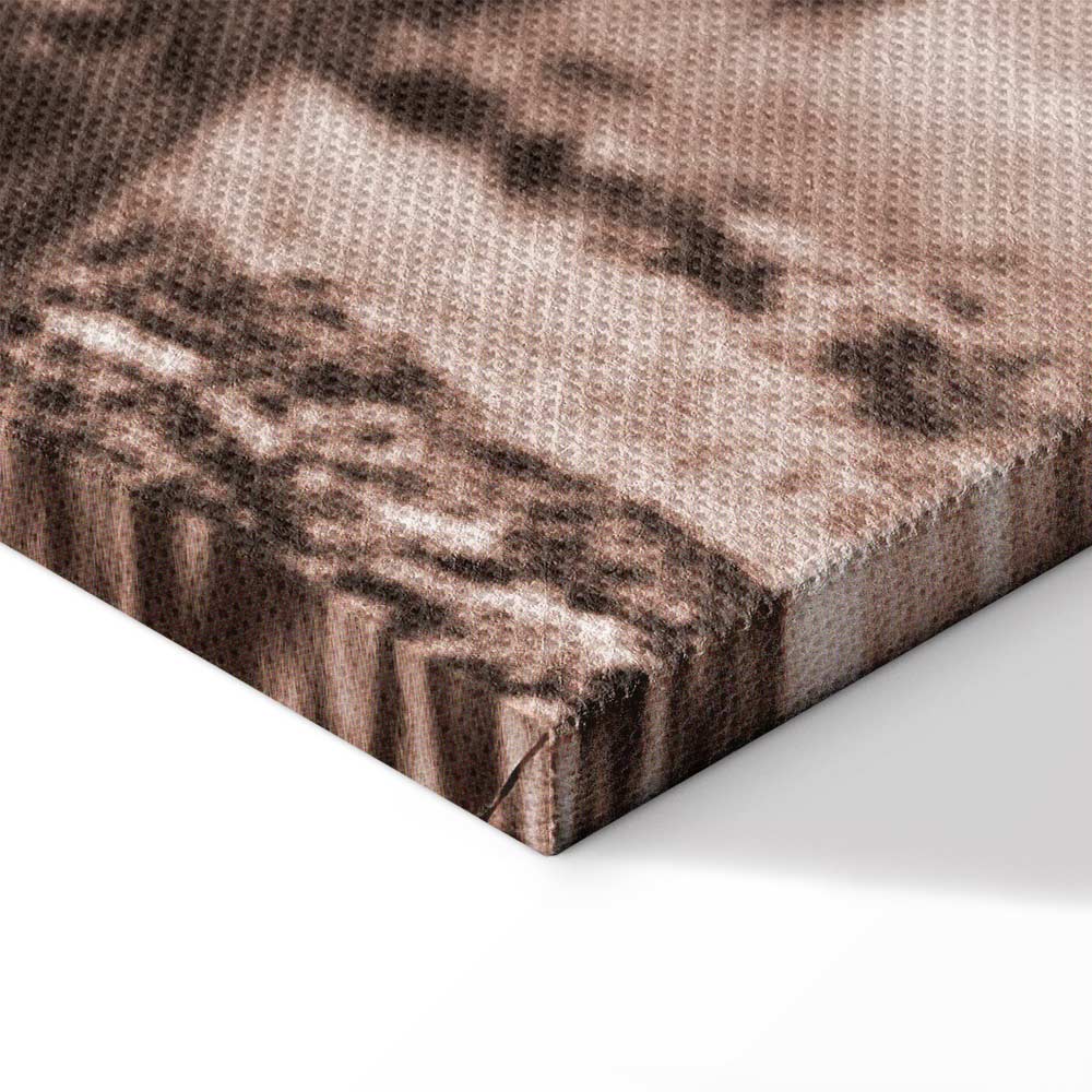 Scottish Cow Sepia Canvas Print