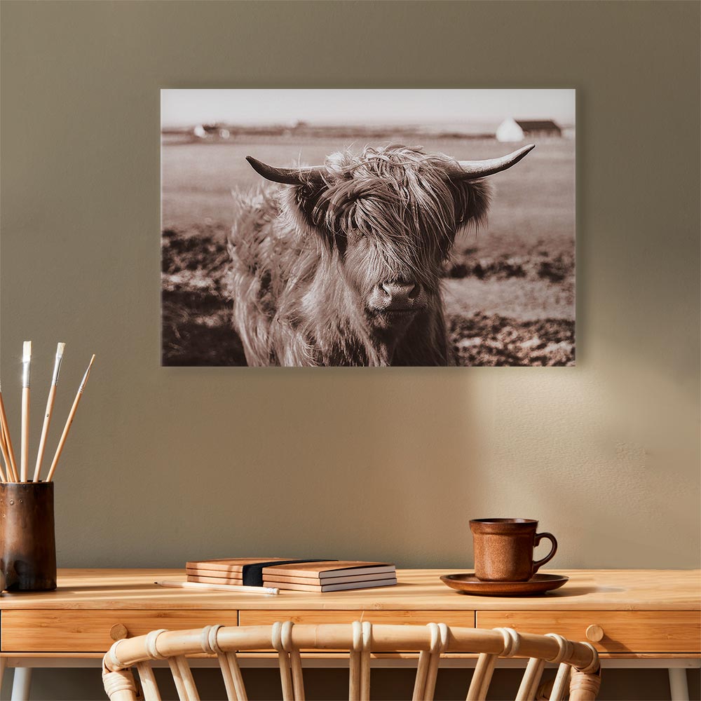 Scottish Cow Sepia Canvas Print