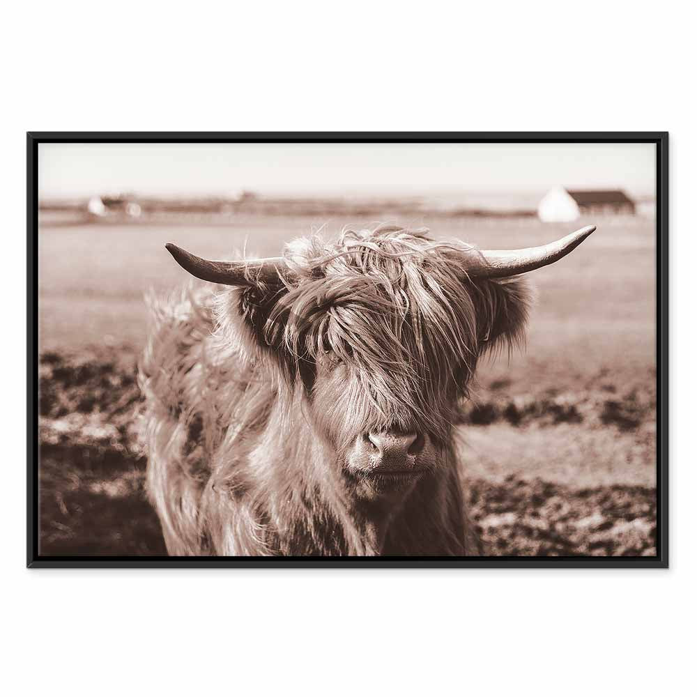 Scottish Cow Sepia Canvas Print