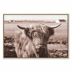 Scottish Cow Sepia Canvas Print
