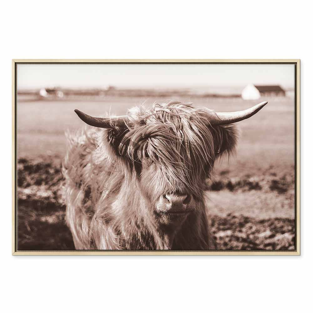 Scottish Cow Sepia Canvas Print
