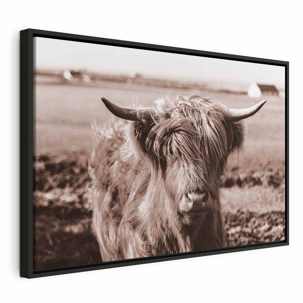 Scottish Cow Sepia Canvas Print