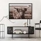 Scottish Cow Sepia Canvas Print