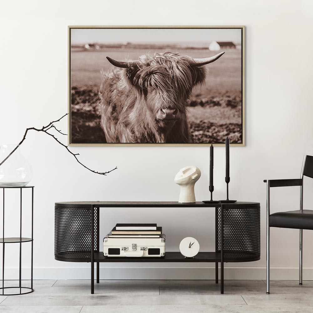 Scottish Cow Sepia Canvas Print