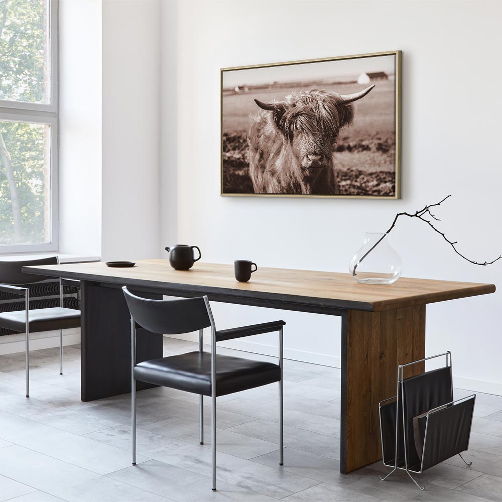 Scottish Cow Sepia Canvas Print