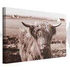 Scottish Cow Sepia Canvas Print