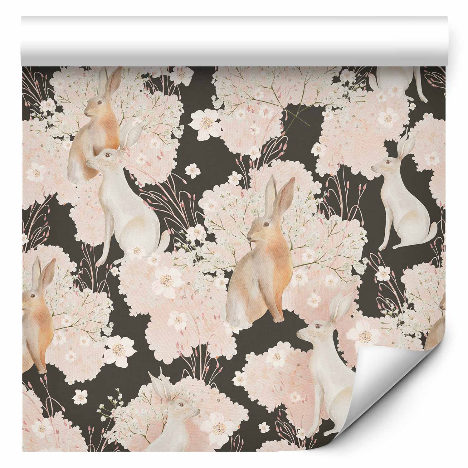 White and Beige Hare Animal Wallpaper