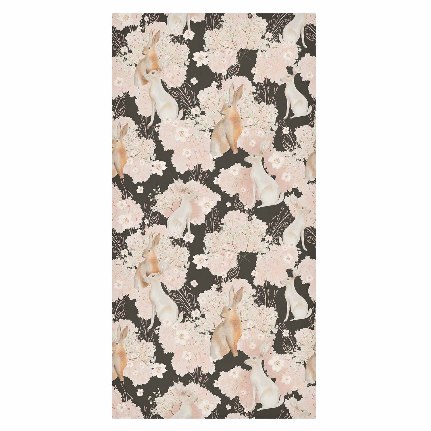 White and Beige Hare Animal Wallpaper