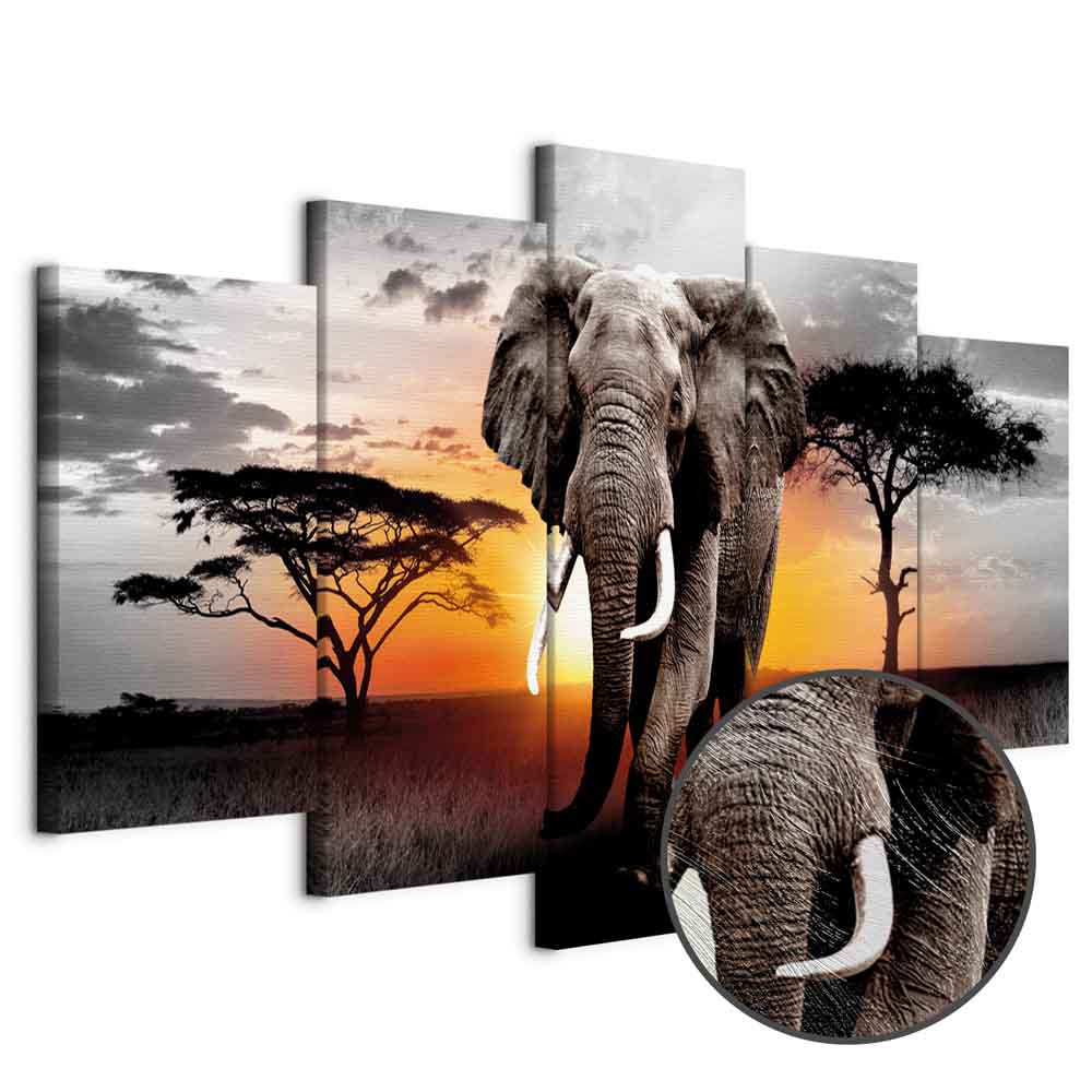 Elephant Sunset Safari Canvas Print
