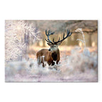 Winter Deer Landscape Canvas Print