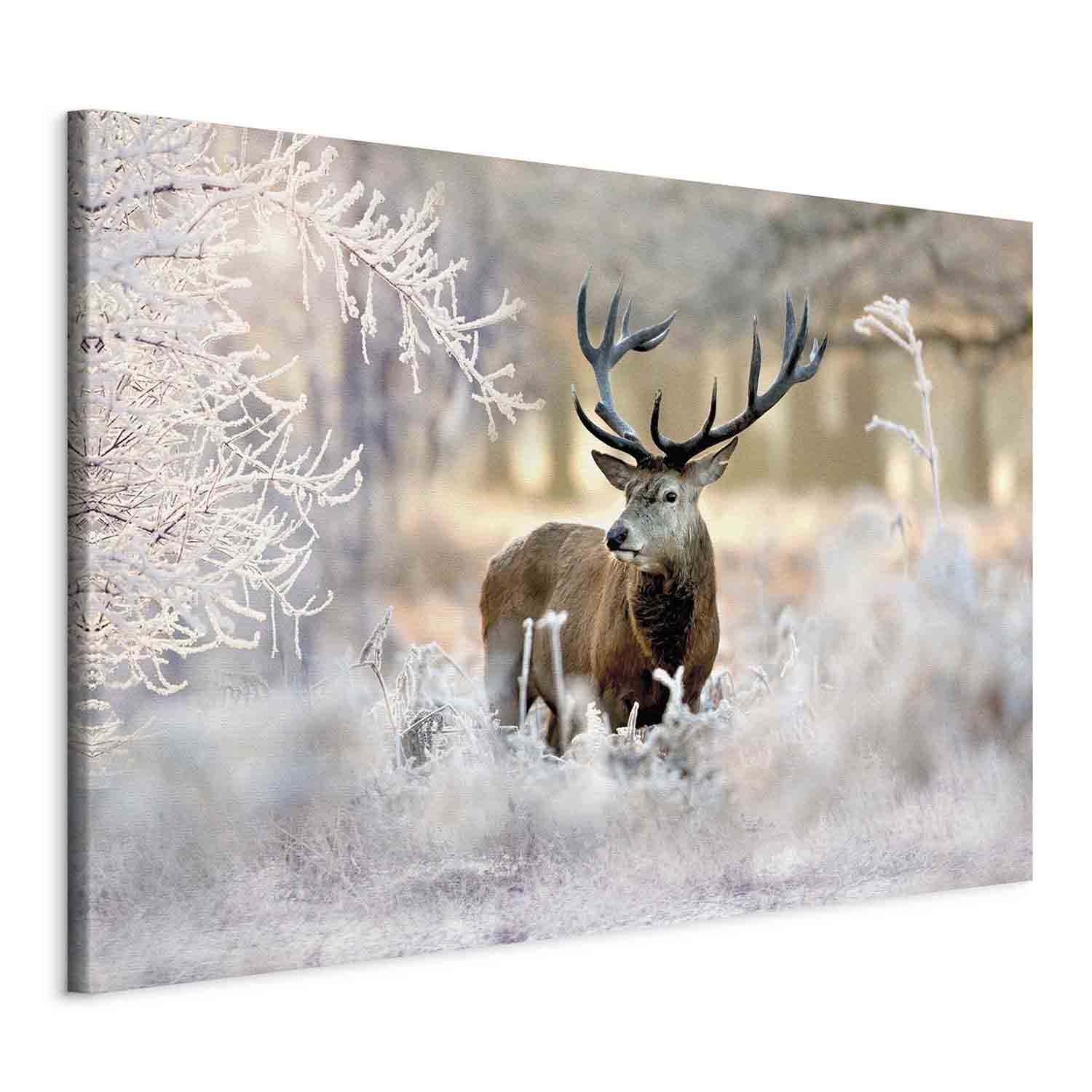 Winter Deer Landscape Canvas Print