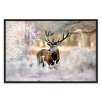Winter Deer Landscape Canvas Print
