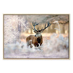 Winter Deer Landscape Canvas Print