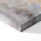 Winter Deer Landscape Canvas Print