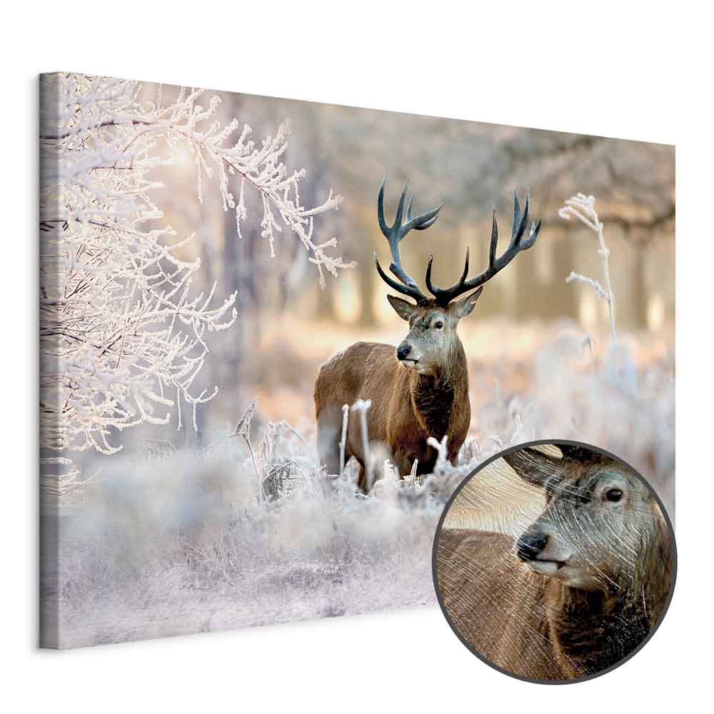 Winter Deer Landscape Canvas Print