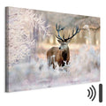 Winter Deer Landscape Canvas Print