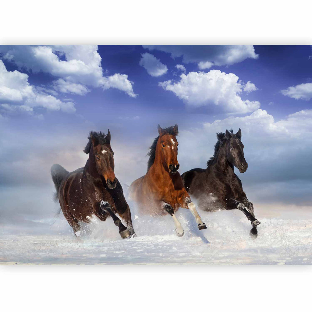 Horses in Snowy Sky Winter Wall Mural
