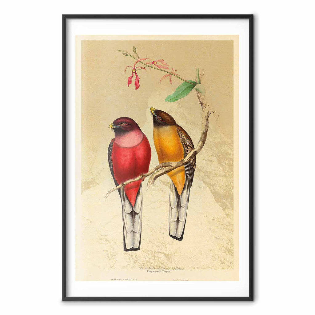 Birds on a Branch Nature Poster