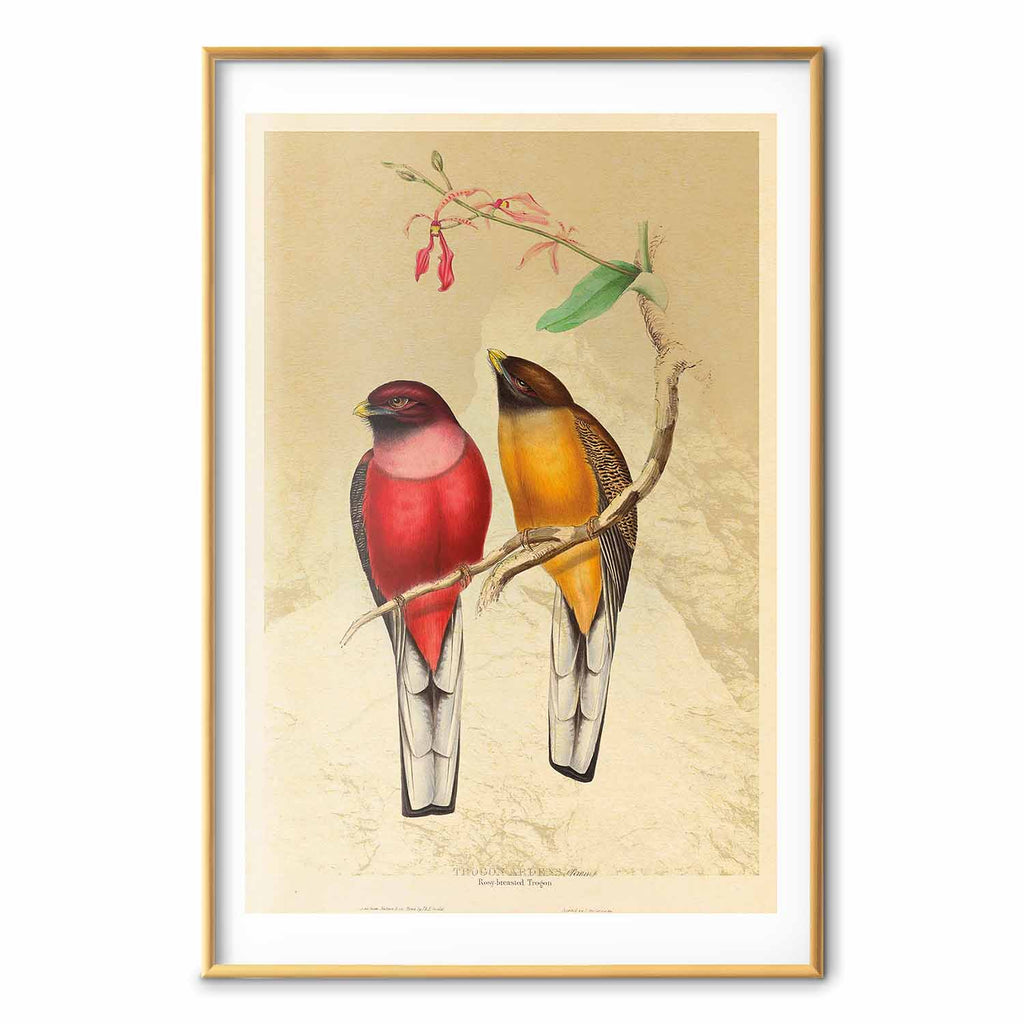 Birds on a Branch Nature Poster