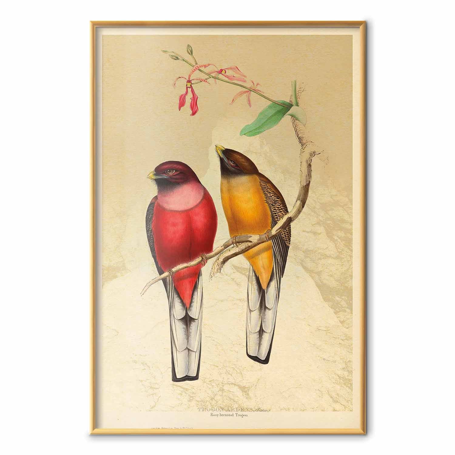 Birds on a Branch Nature Poster