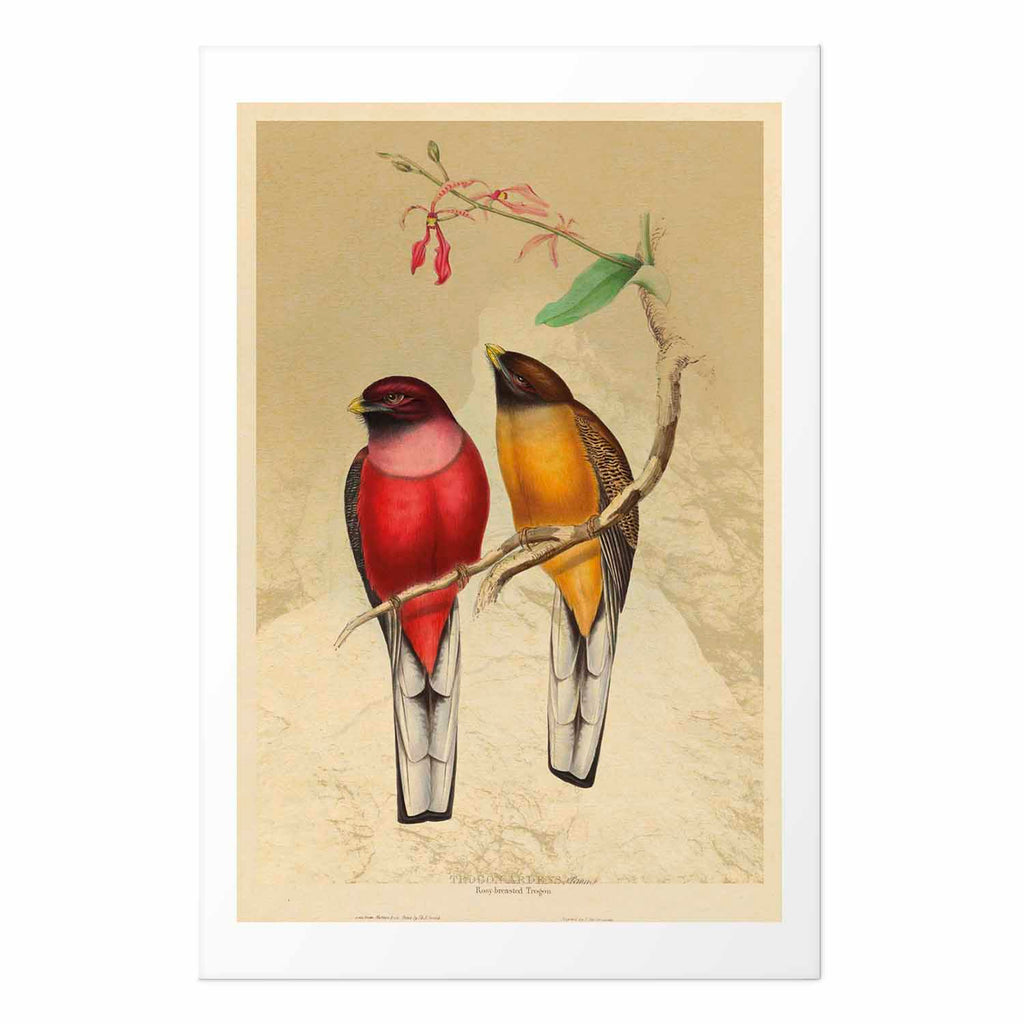 Birds on a Branch Nature Poster