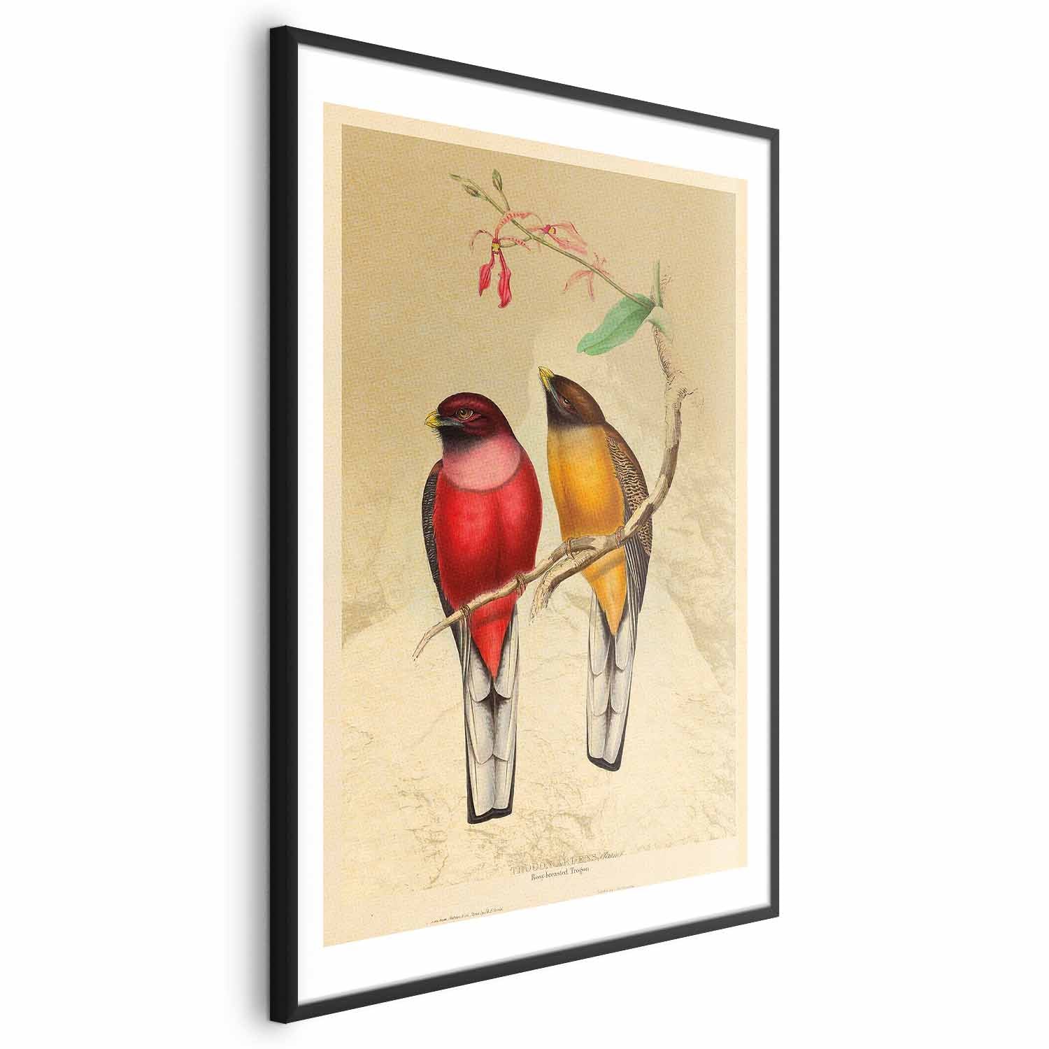 Birds on a Branch Nature Poster