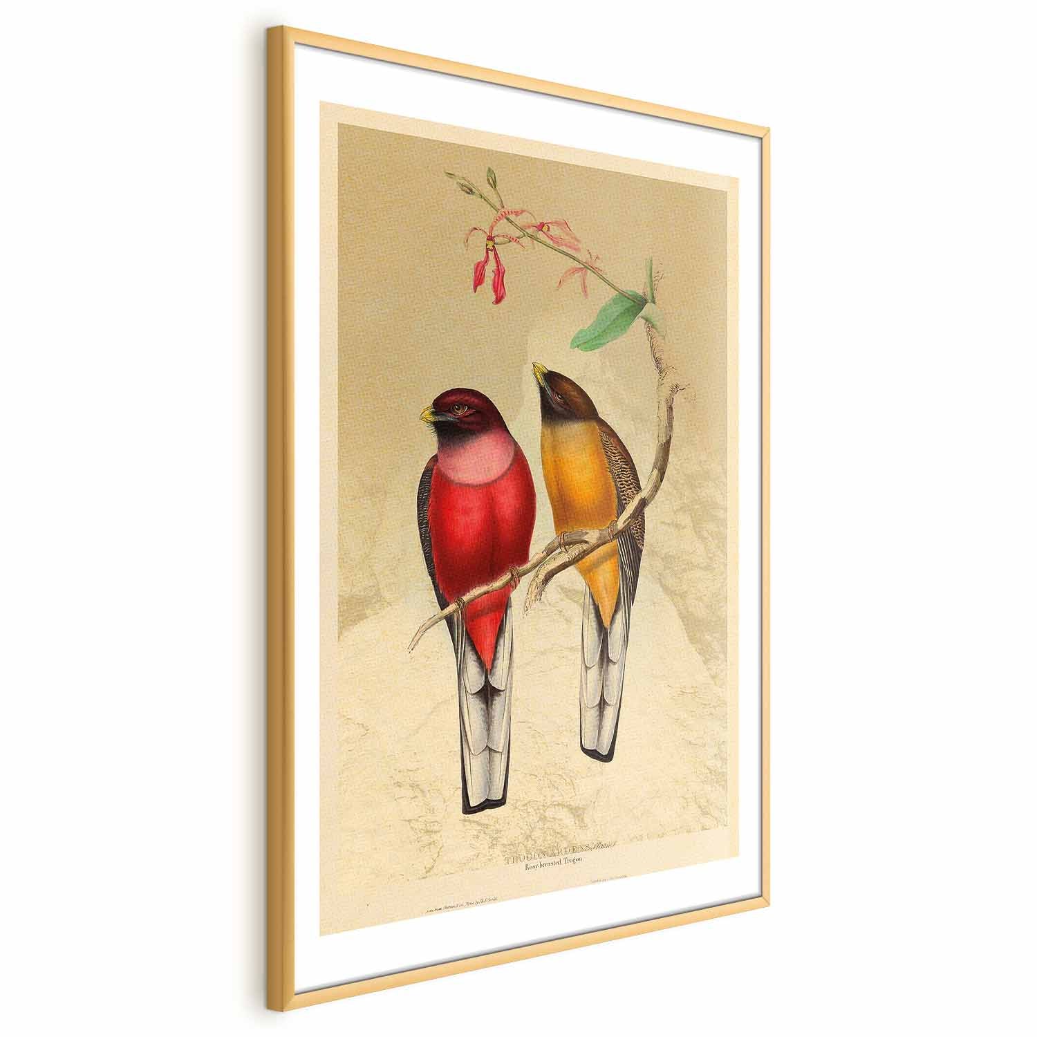 Birds on a Branch Nature Poster