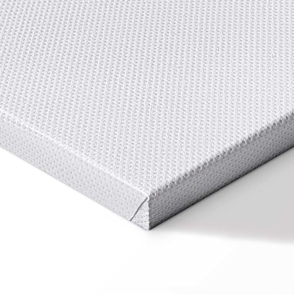 Smoking Sea Turtle Animals Canvas Print