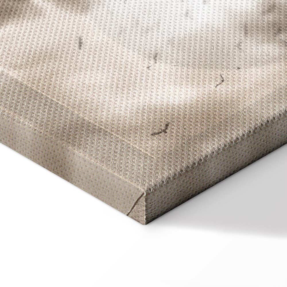 Birds in Clouds Nature Canvas Print