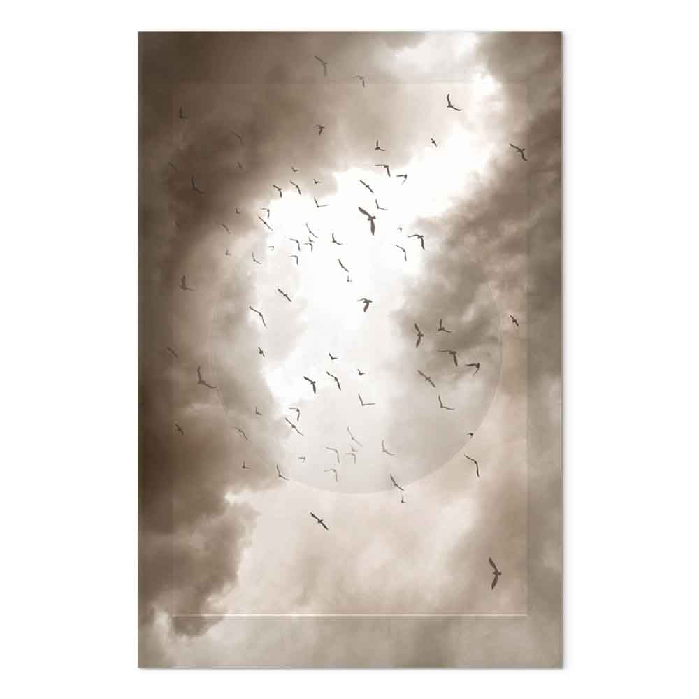Birds in Clouds Nature Canvas Print