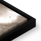 Birds in Clouds Nature Canvas Print