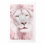 Lion Portrait Animal Poster