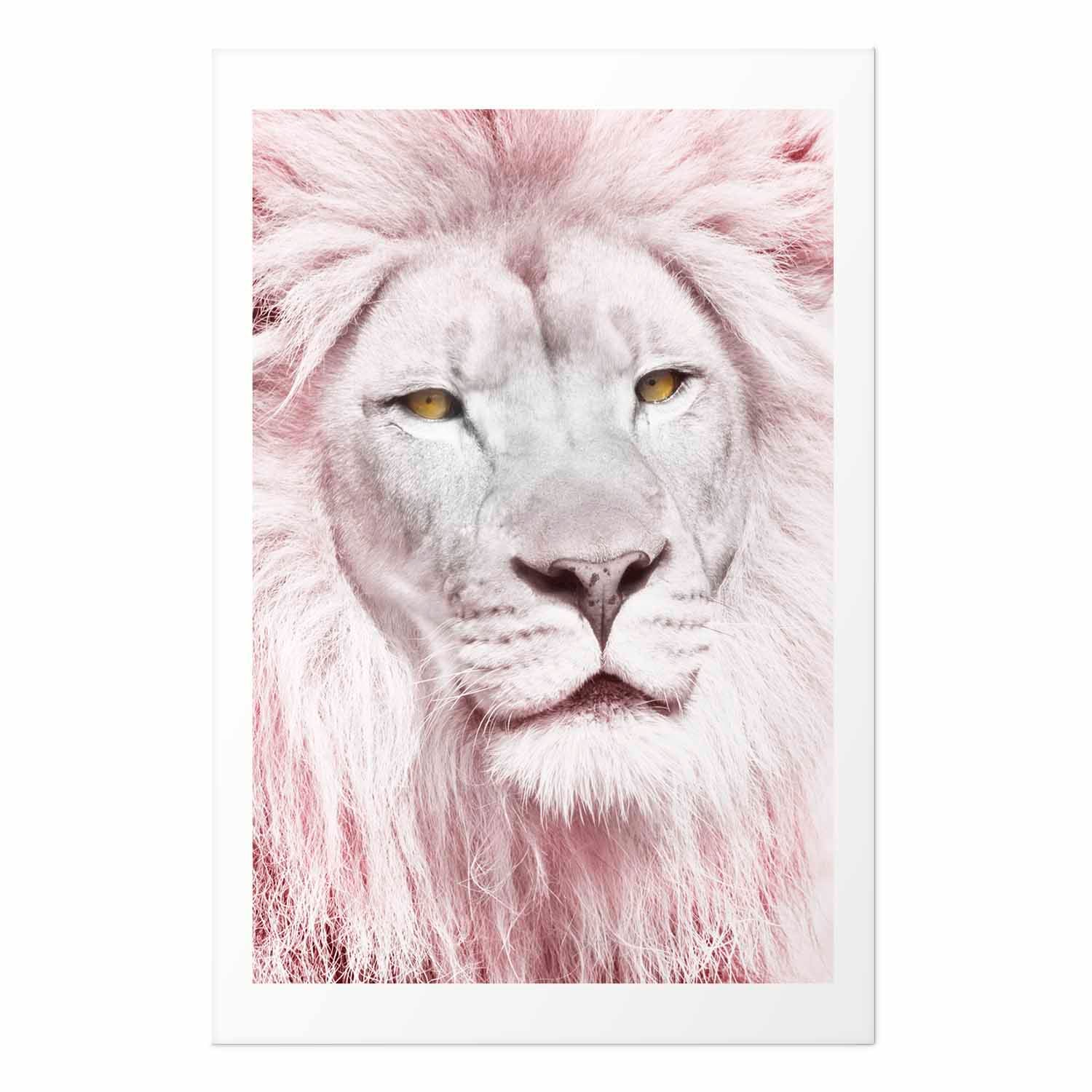Lion Portrait Animal Poster