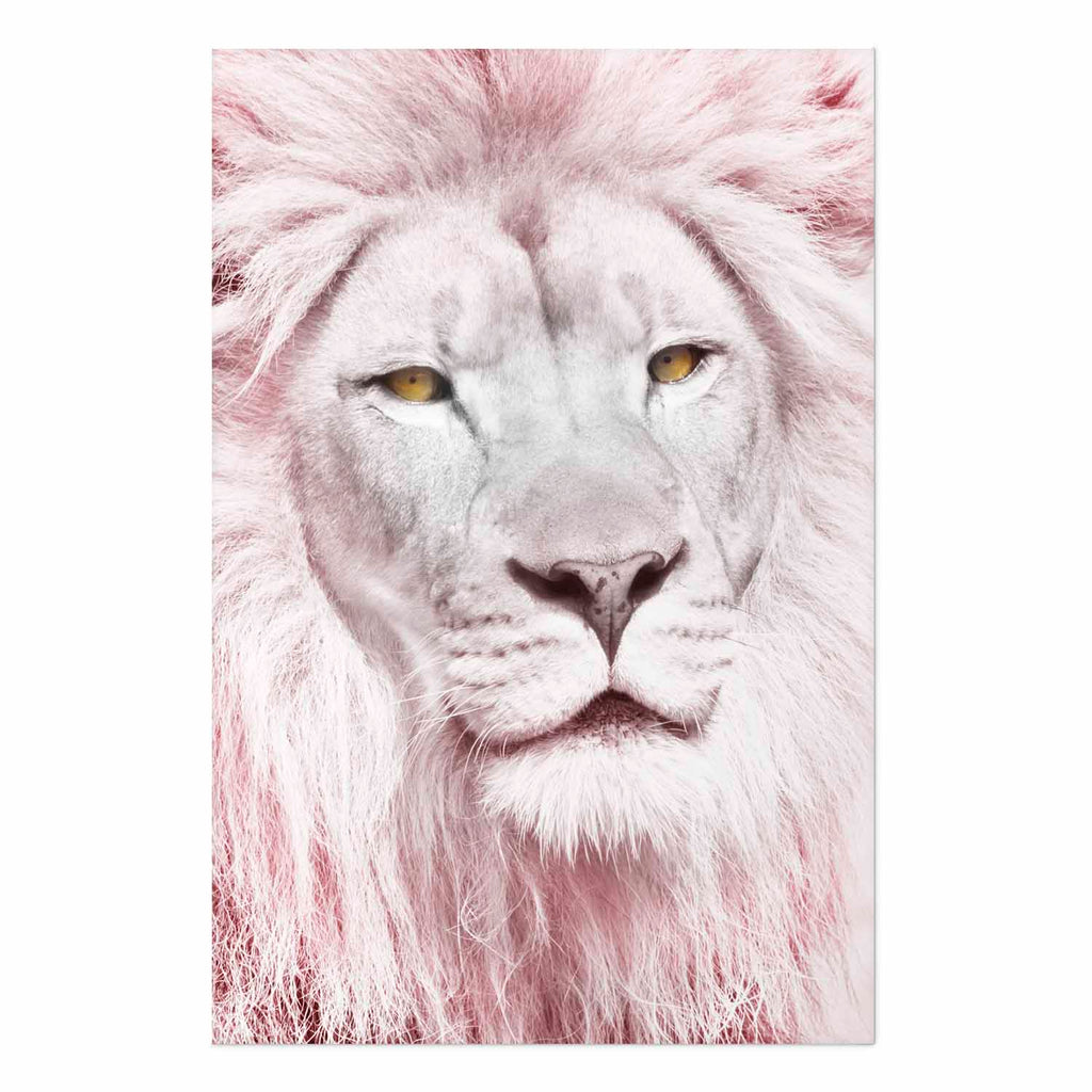 Lion Portrait Animal Poster