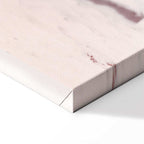 Winter Duck Nature Canvas Print