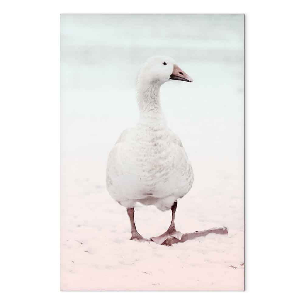 Winter Duck Nature Canvas Print
