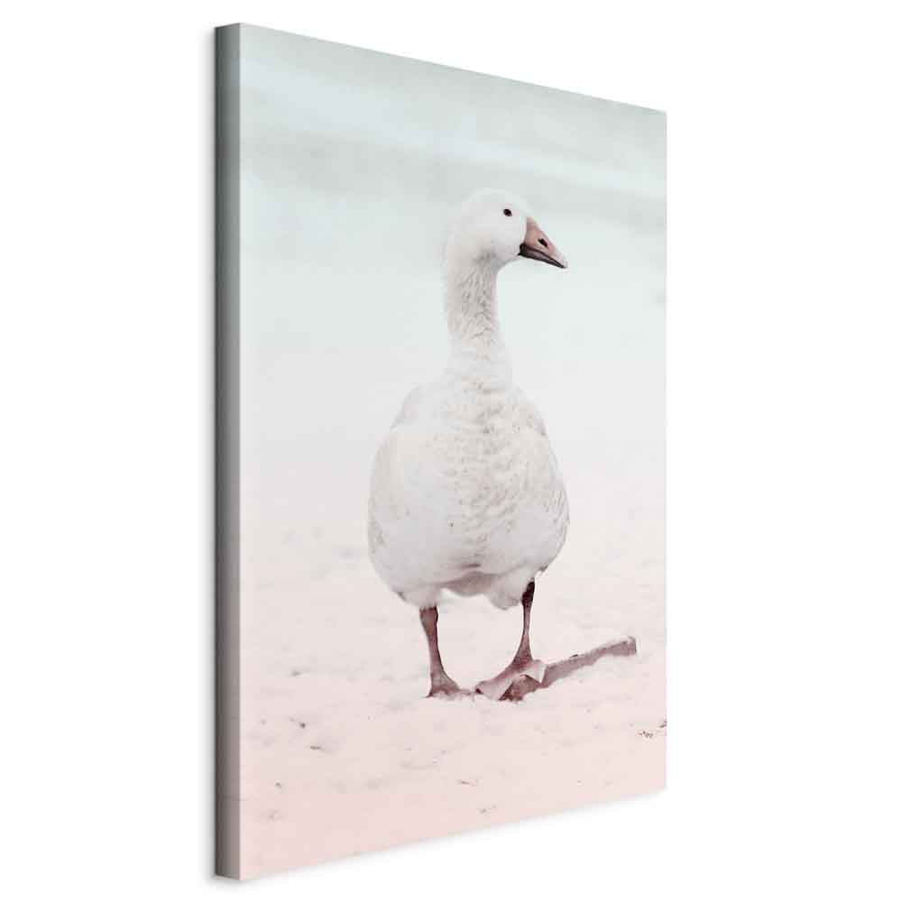 Winter Duck Nature Canvas Print