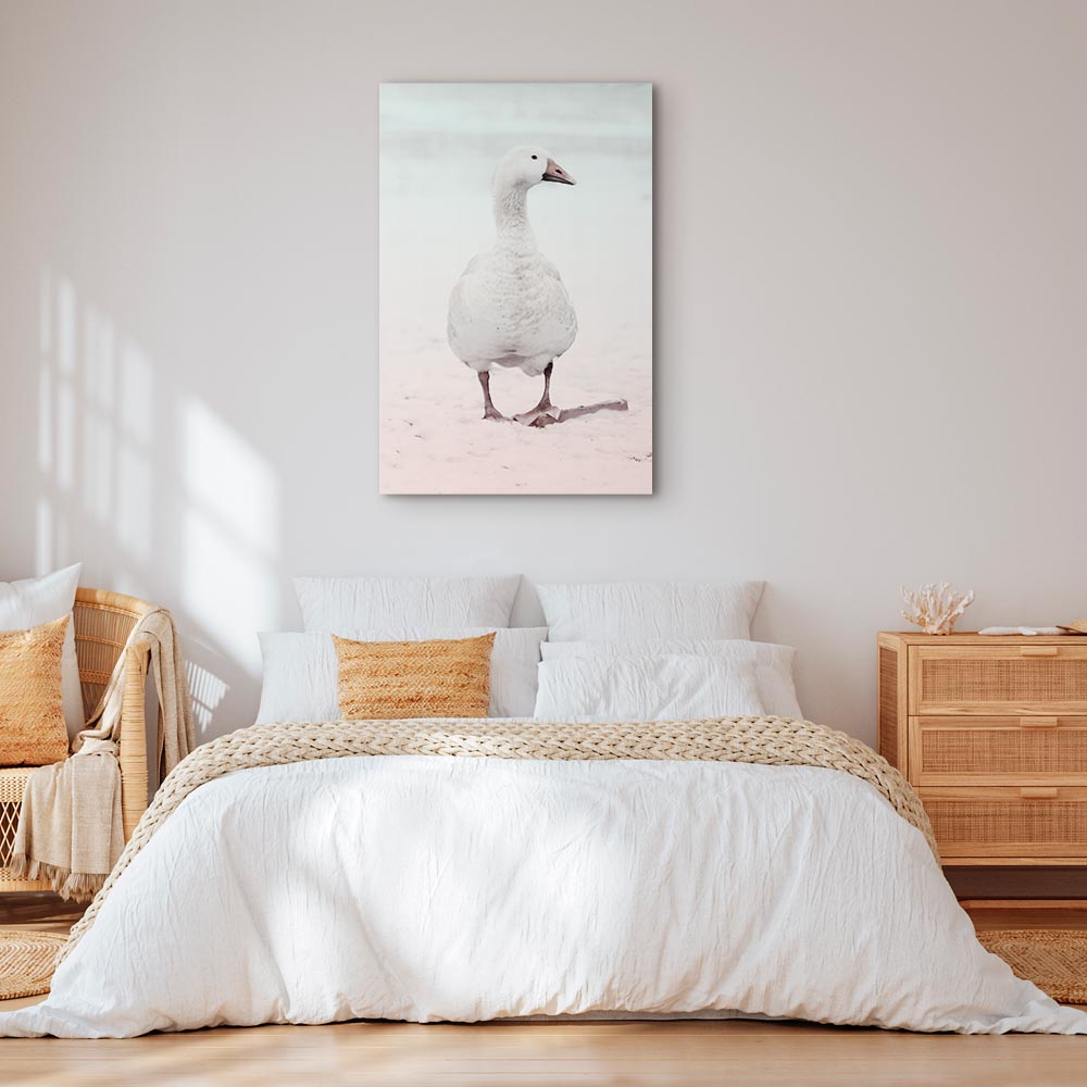 Winter Duck Nature Canvas Print