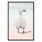 Winter Duck Nature Canvas Print