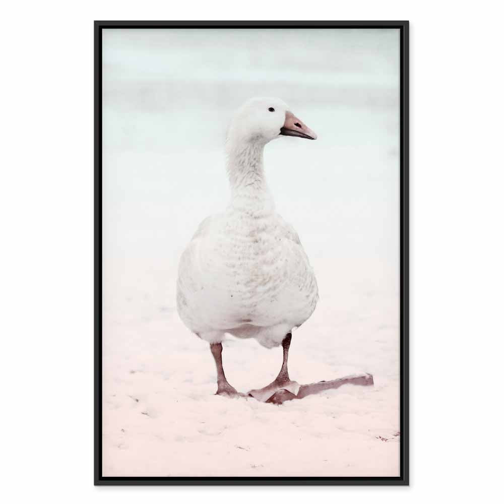 Winter Duck Nature Canvas Print