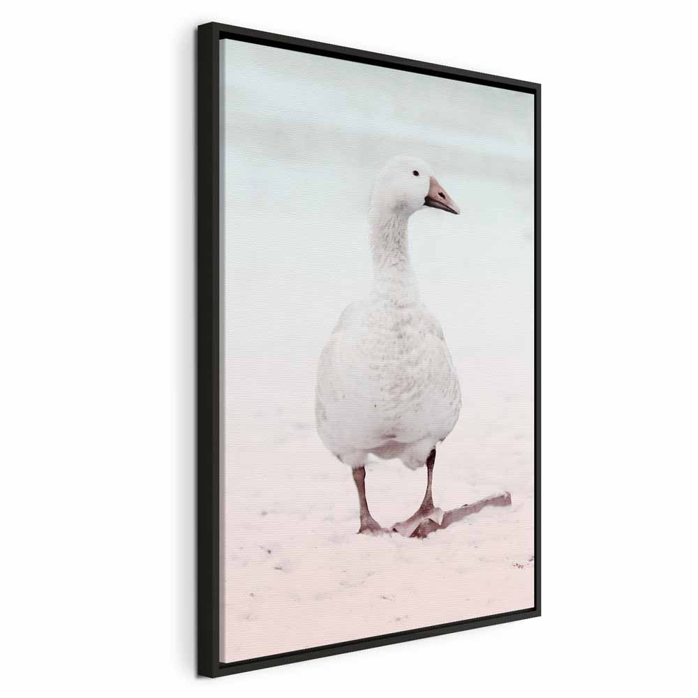 Winter Duck Nature Canvas Print