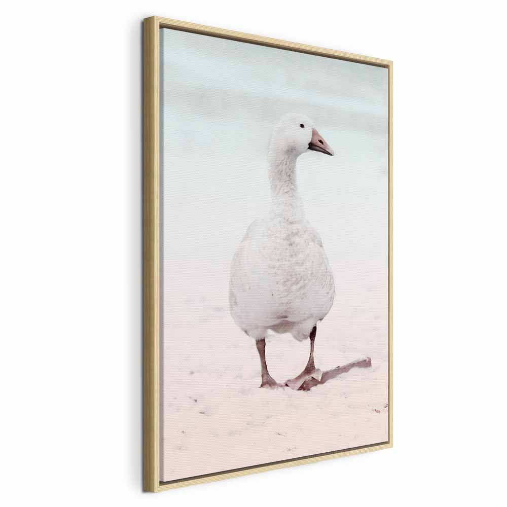 Winter Duck Nature Canvas Print