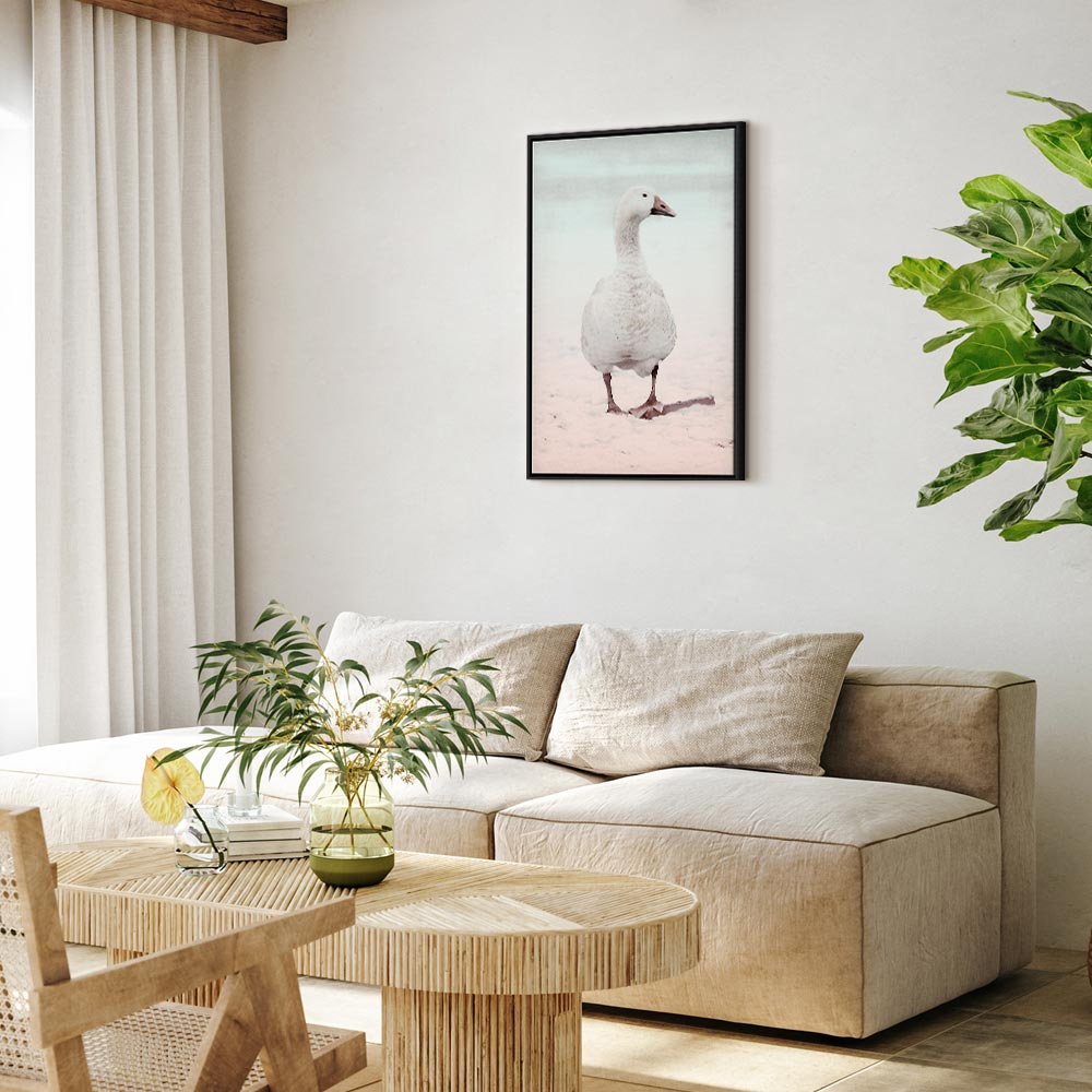 Winter Duck Nature Canvas Print