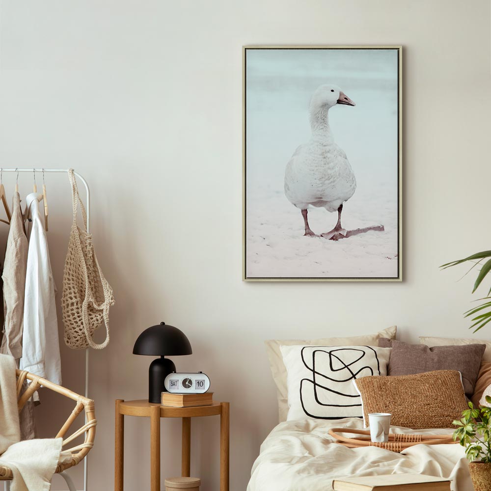 Winter Duck Nature Canvas Print
